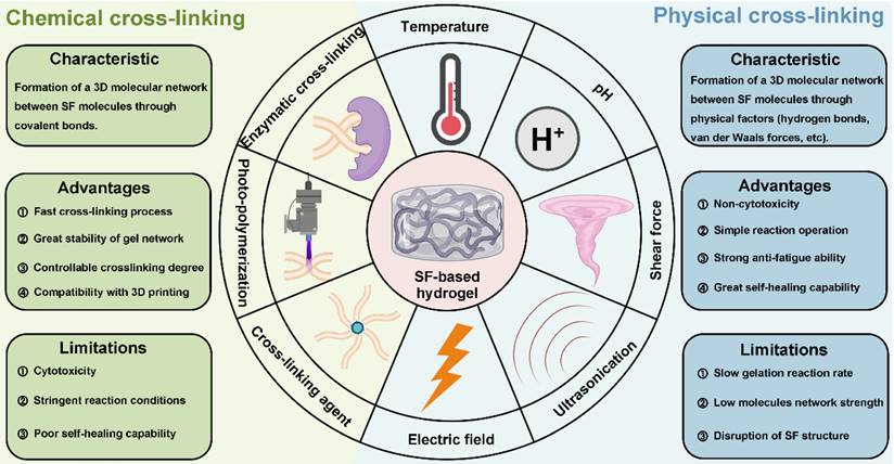 Theranostics Image