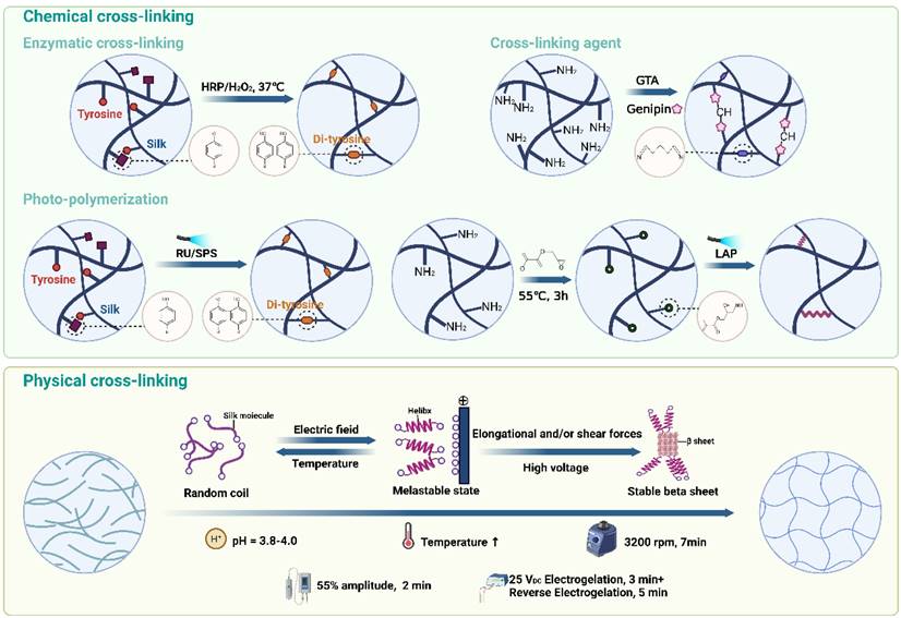 Theranostics Image