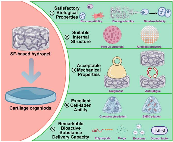 Theranostics Image