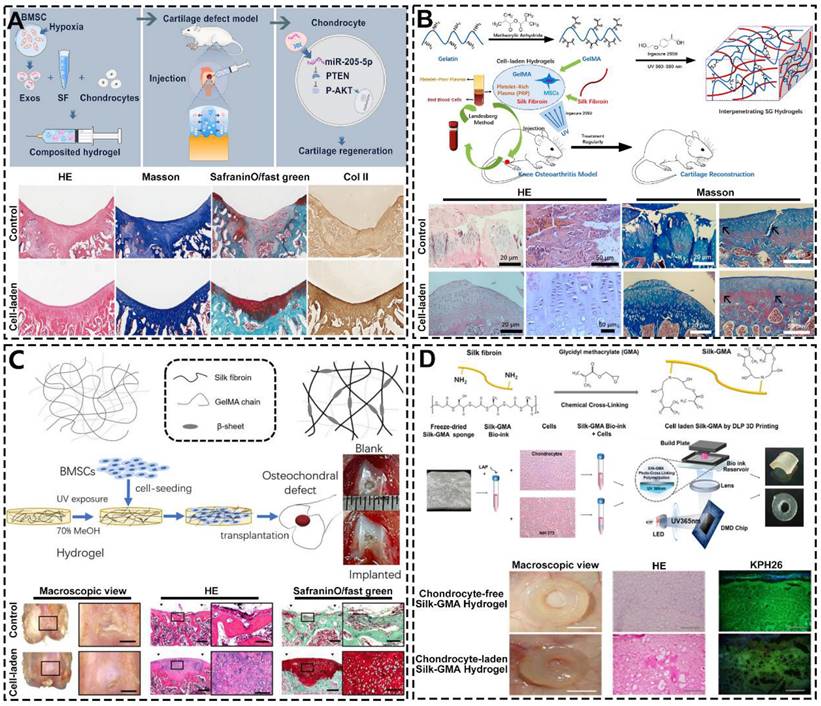 Theranostics Image