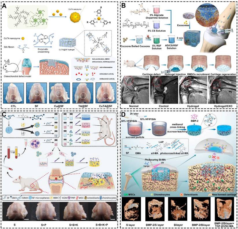 Theranostics Image