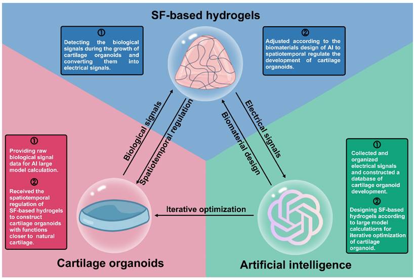 Theranostics Image