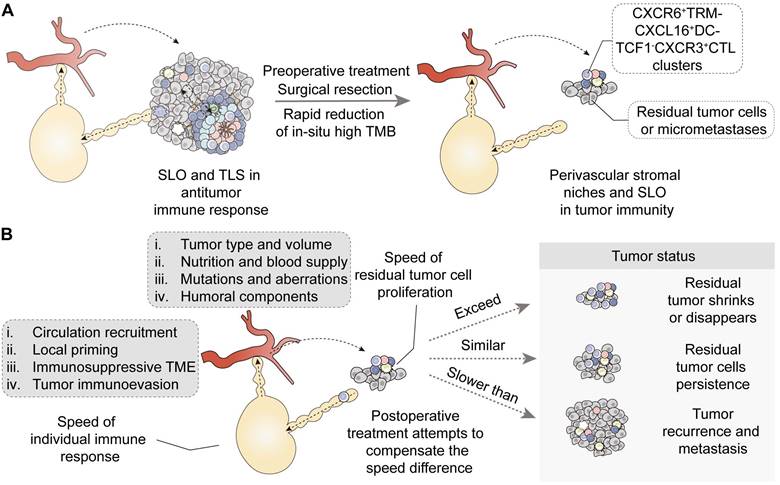 Theranostics Image