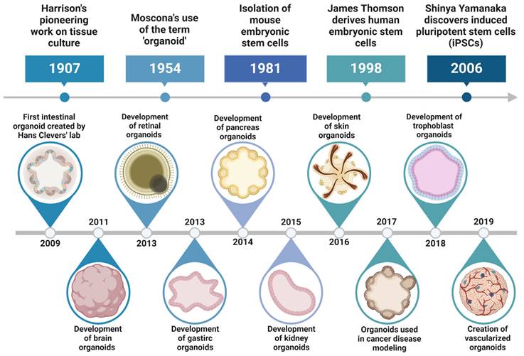 Theranostics Image