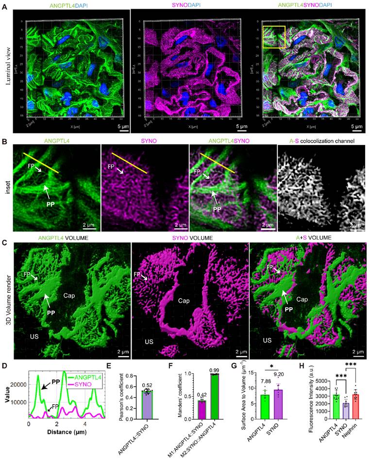 Theranostics Image