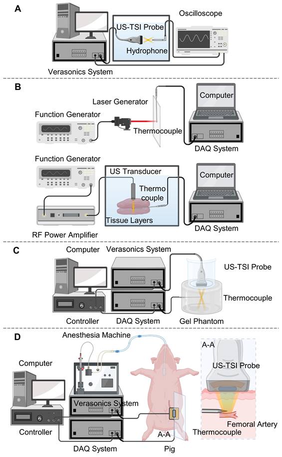 Theranostics Image