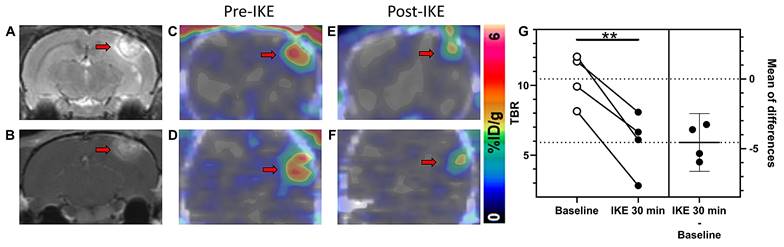 Theranostics Image