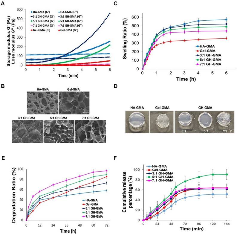 Theranostics Image