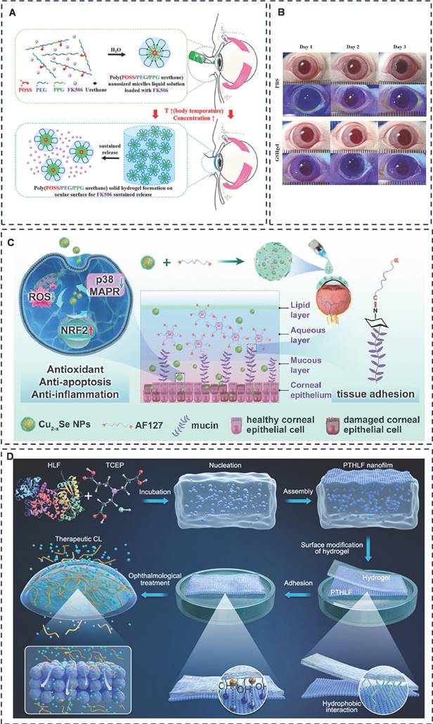 Theranostics Image