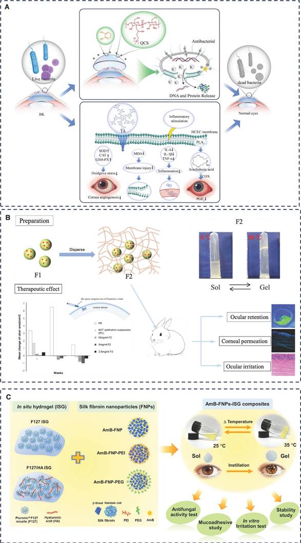 Theranostics Image