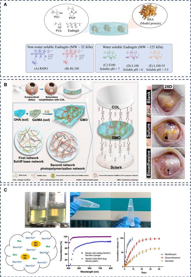 Theranostics Image