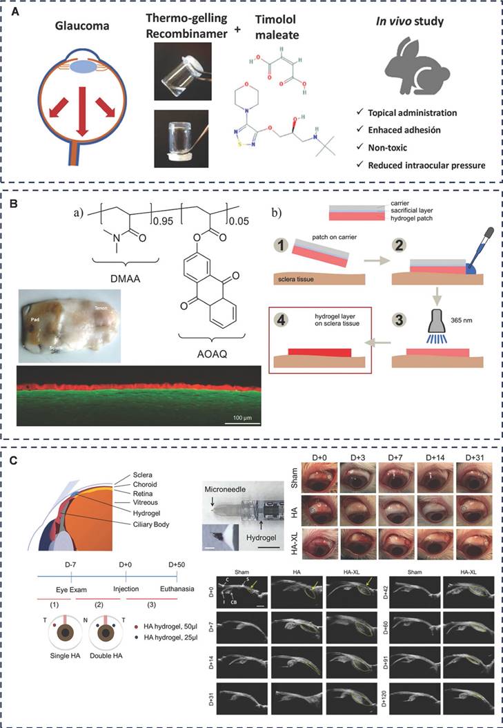 Theranostics Image