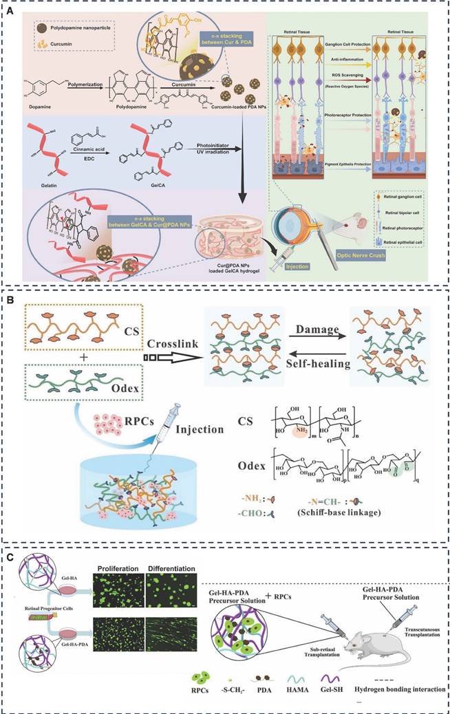 Theranostics Image