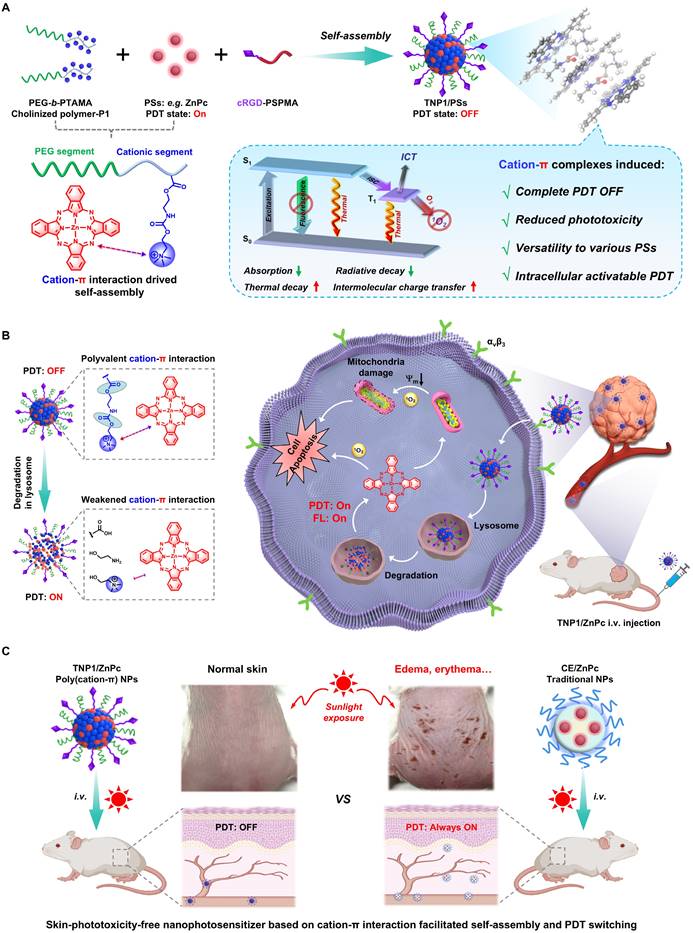 Theranostics Image