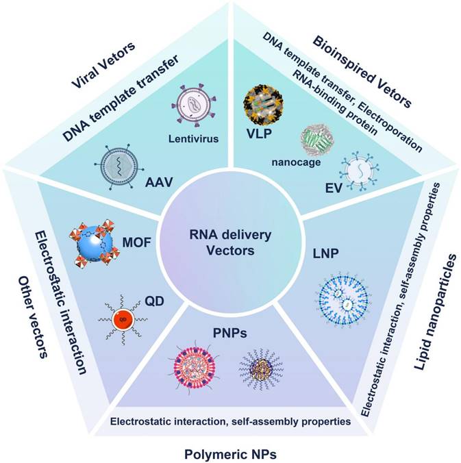 Theranostics Image