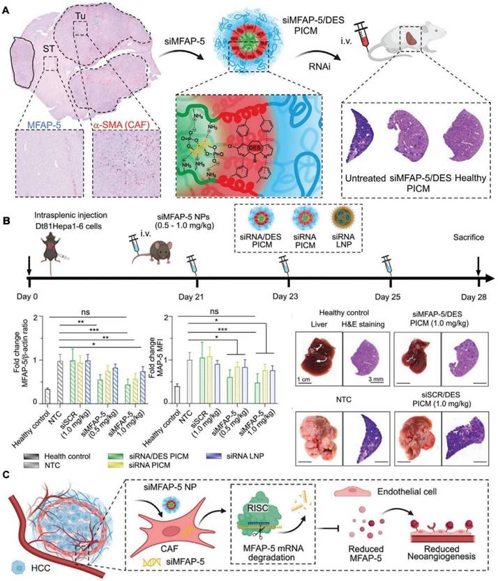 Theranostics Image