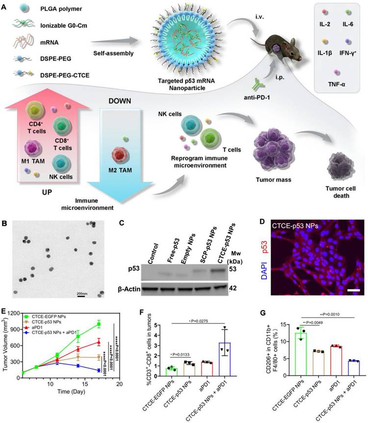 Theranostics Image