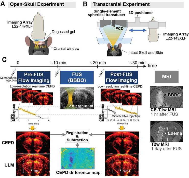 Theranostics Image