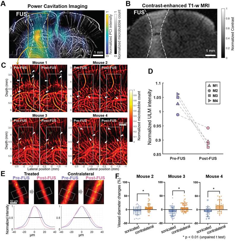 Theranostics Image