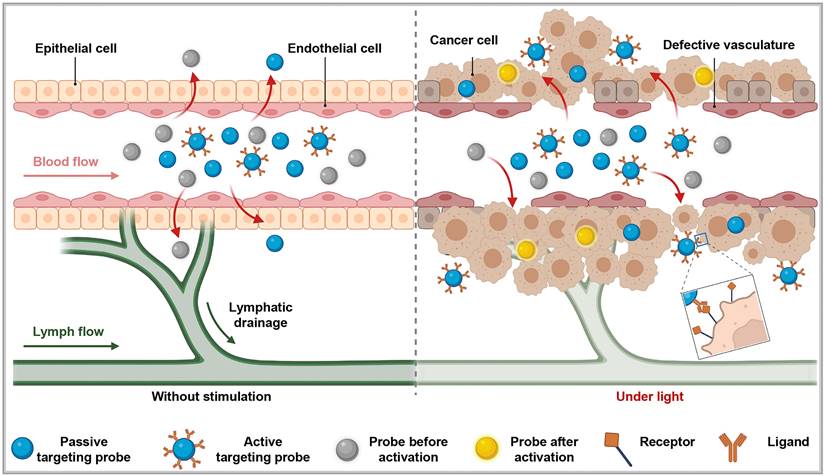 Theranostics Image