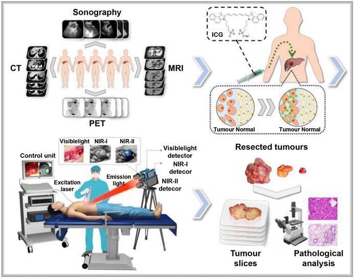 Theranostics Image