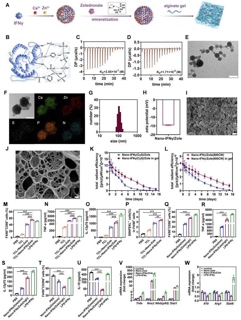 Theranostics Image