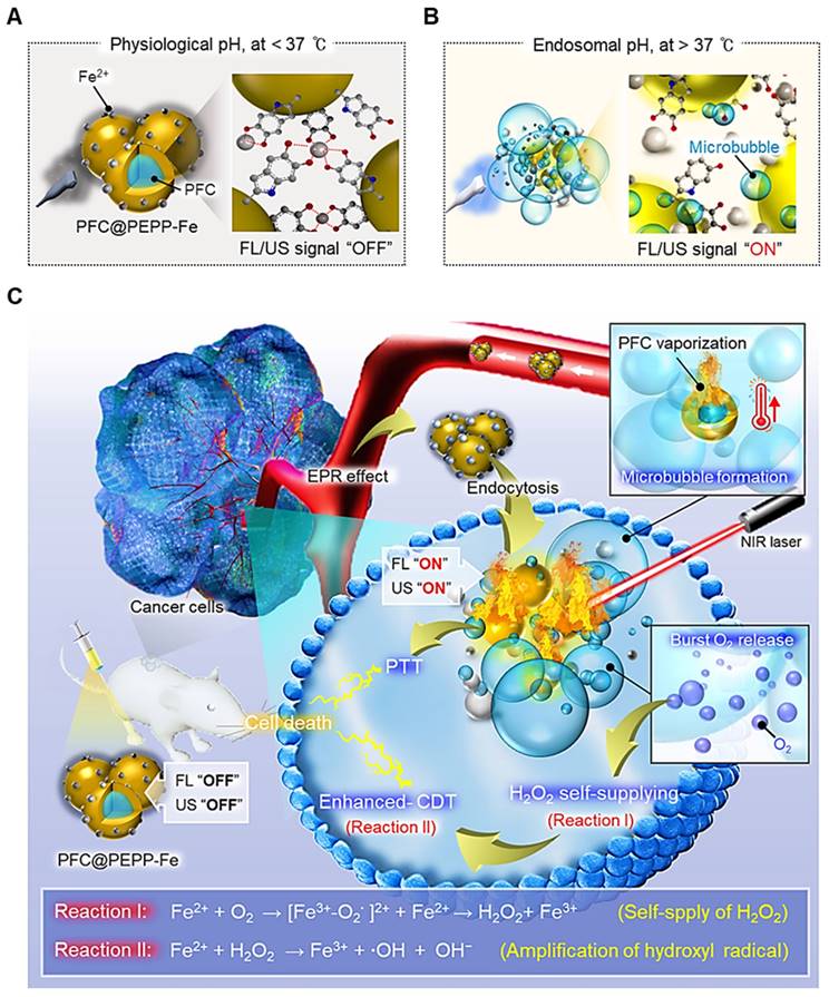 Theranostics Image