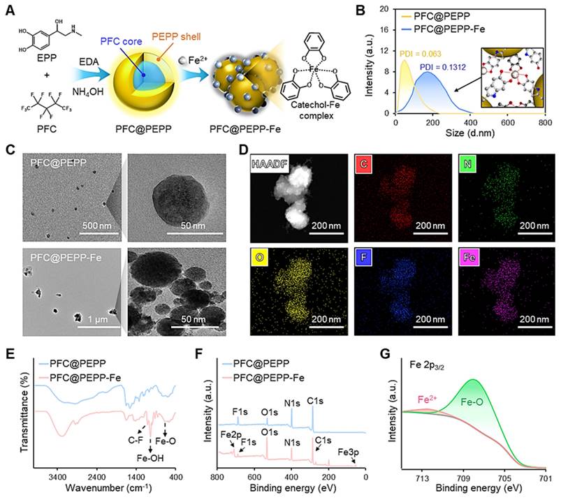 Theranostics Image