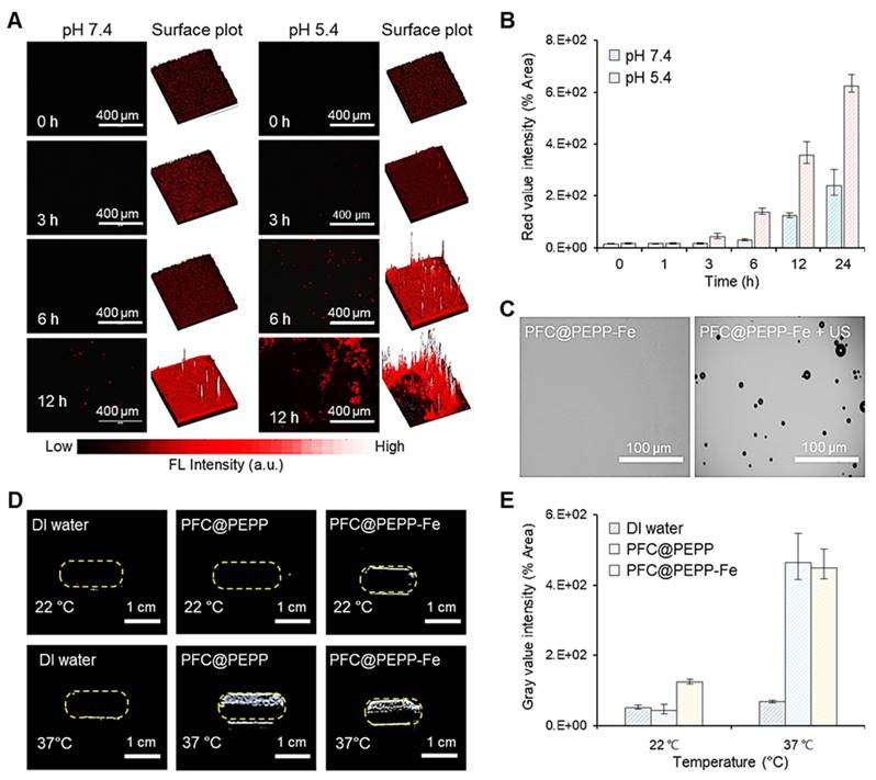 Theranostics Image