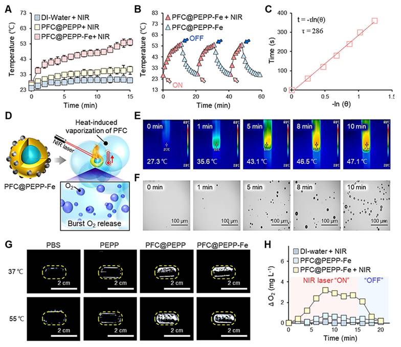 Theranostics Image