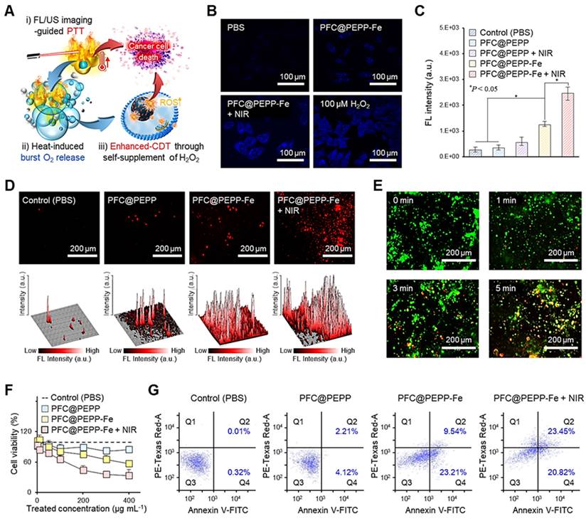 Theranostics Image