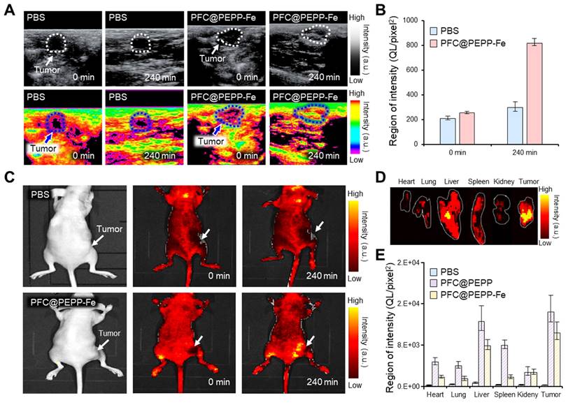 Theranostics Image