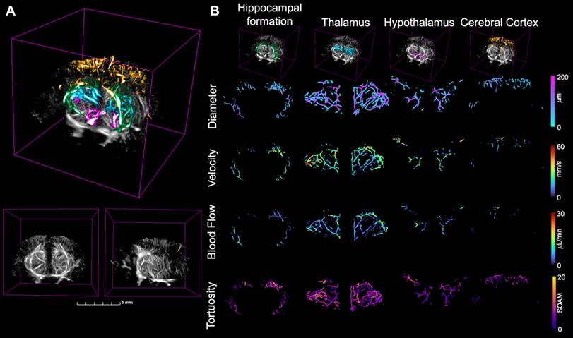 Theranostics Image