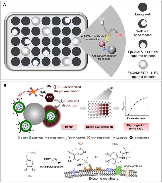 Theranostics Image