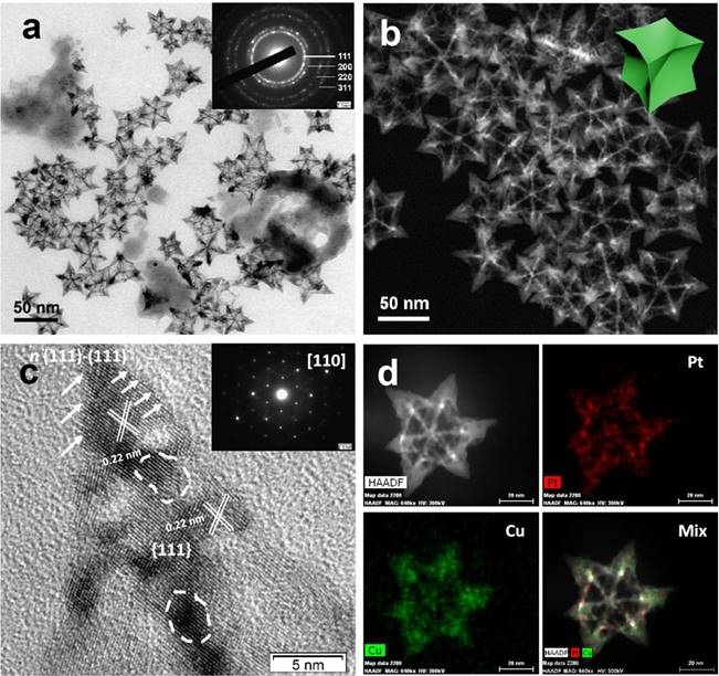 Theranostics Image