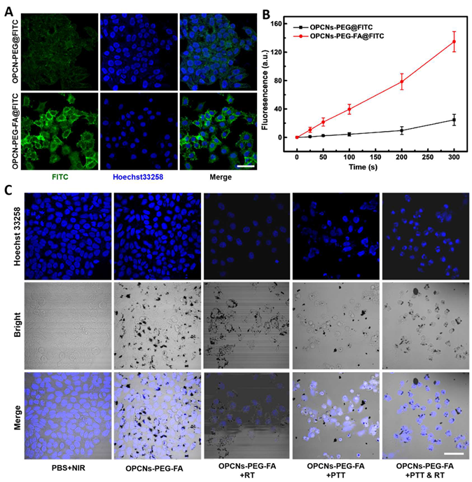 Theranostics Image