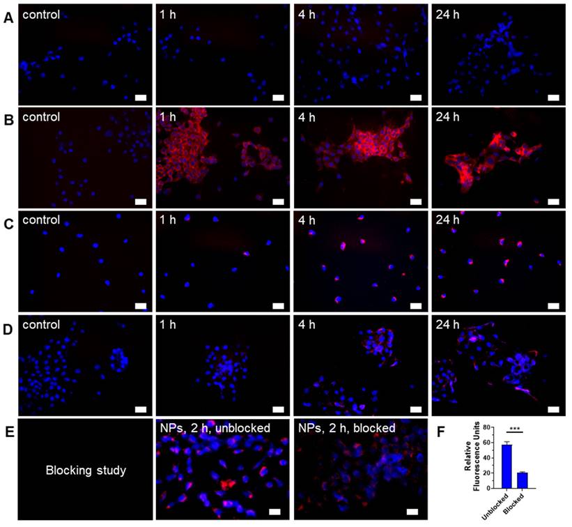 Theranostics Image