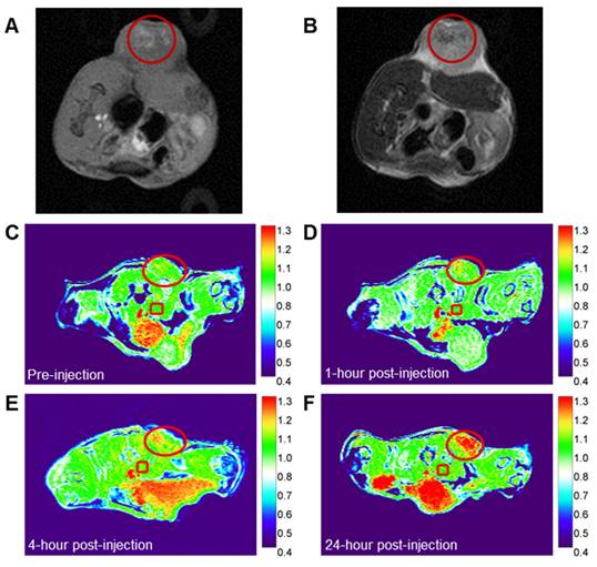 Theranostics Image