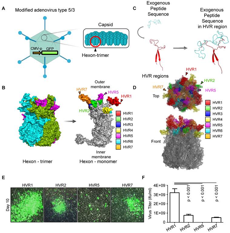 Theranostics Image