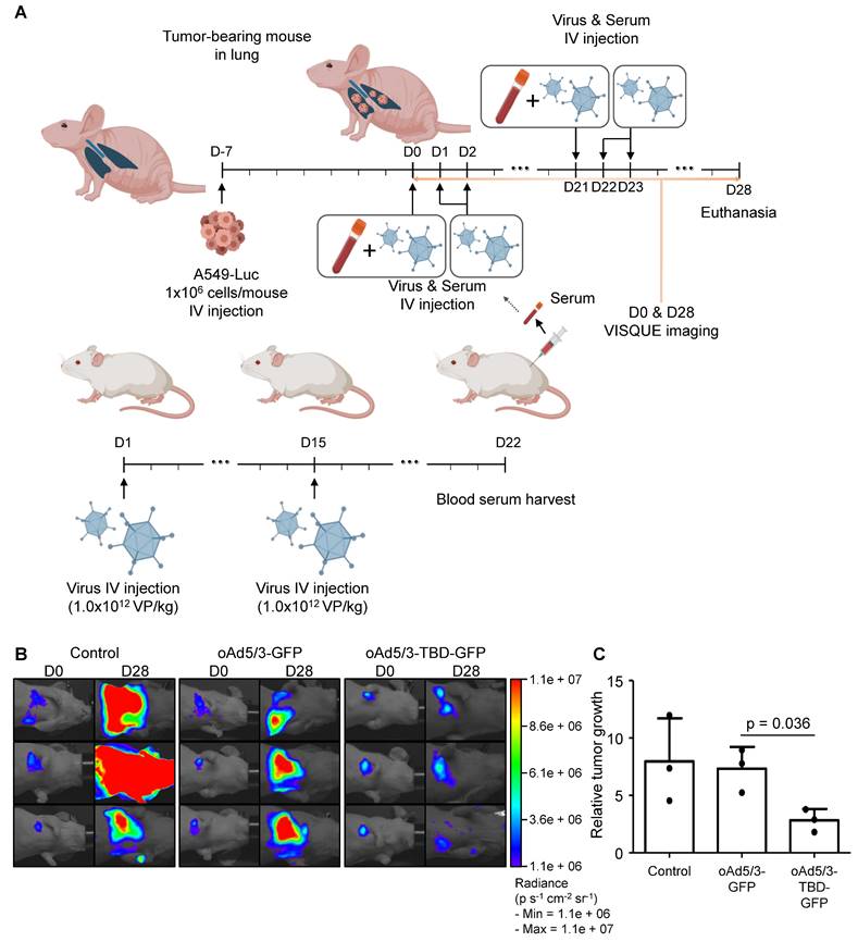 Theranostics Image