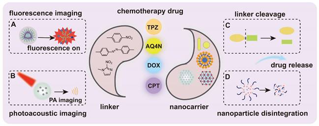 Theranostics Image