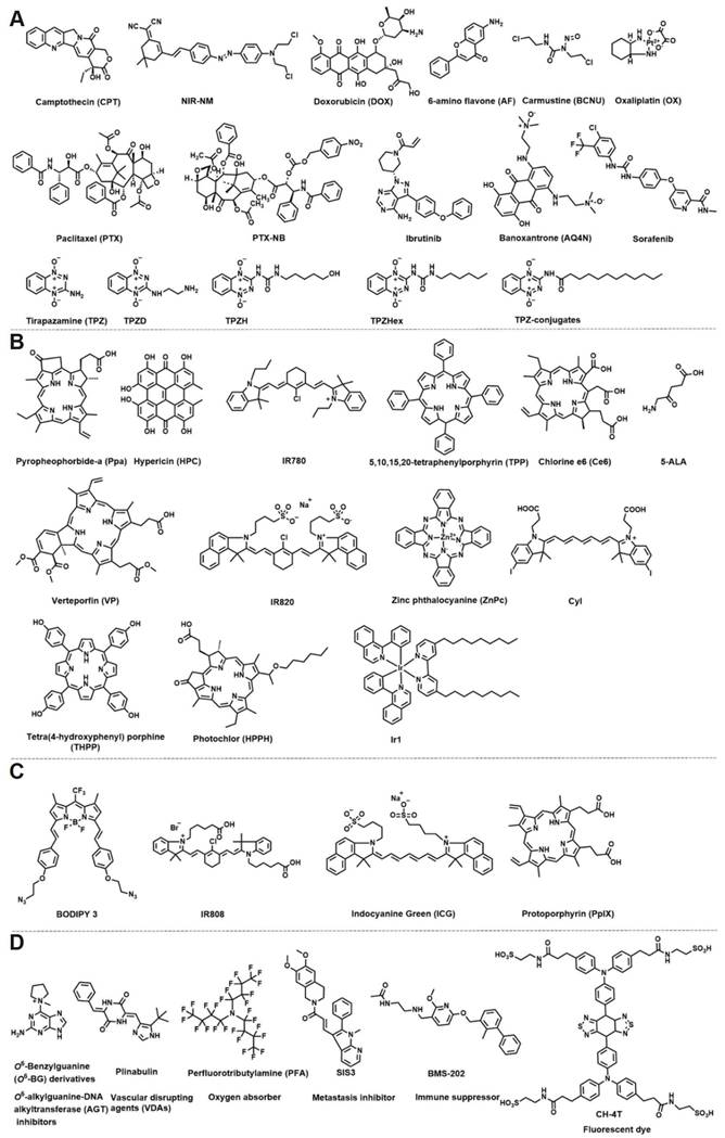 Theranostics Image