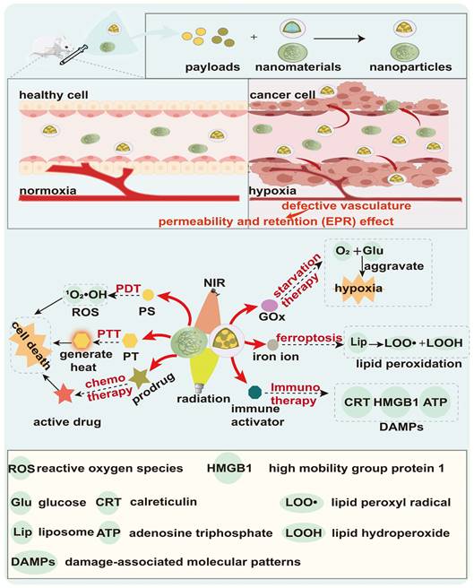 Theranostics Image