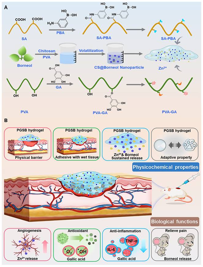 Theranostics Image