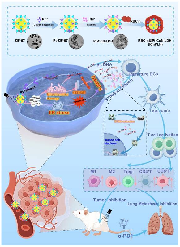 Theranostics Image