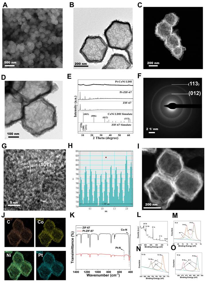 Theranostics Image