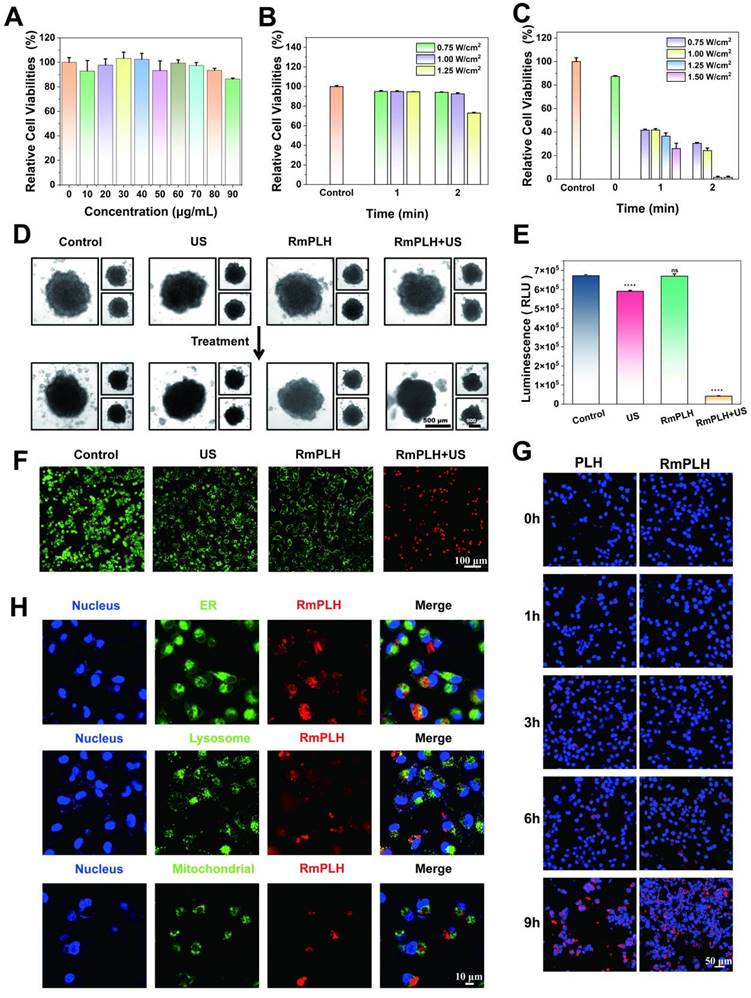 Theranostics Image