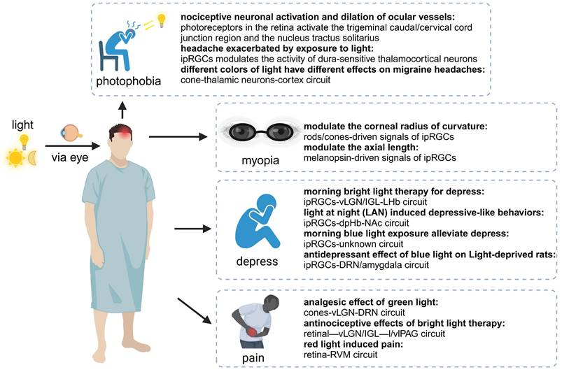 Theranostics Image