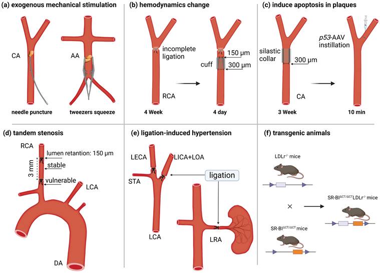 Theranostics Image