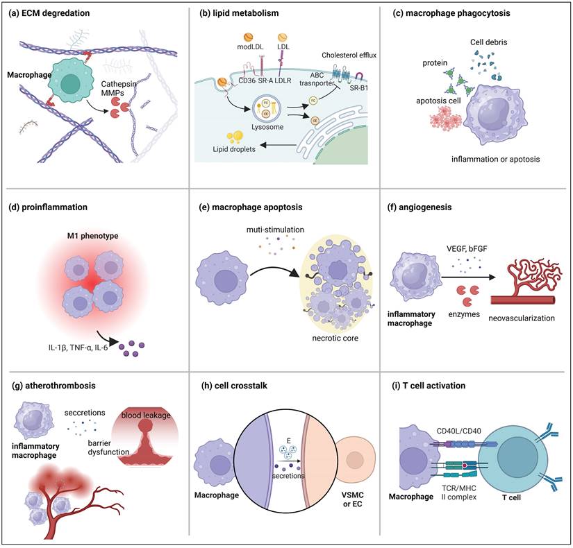 Theranostics Image